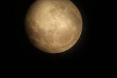 Photo Lune Christophe Loyer télescope 114