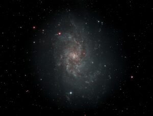 M33