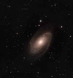 M81