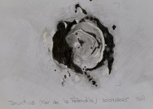 Cratère Taruntius